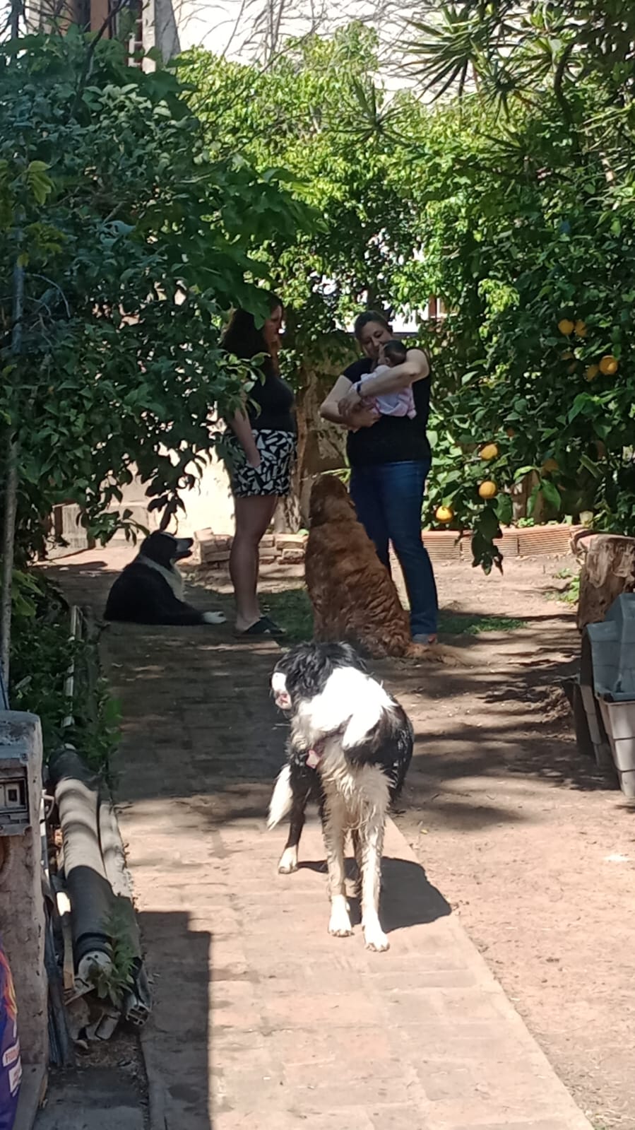 WhatsApp Image 2024-10-05 at 23.216.27.jpeg